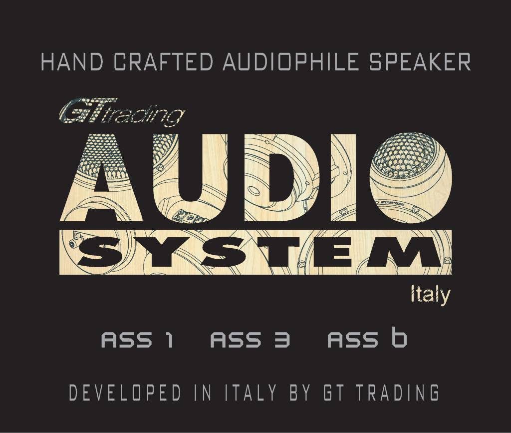 n-20241230104524-ass-manual.pdf