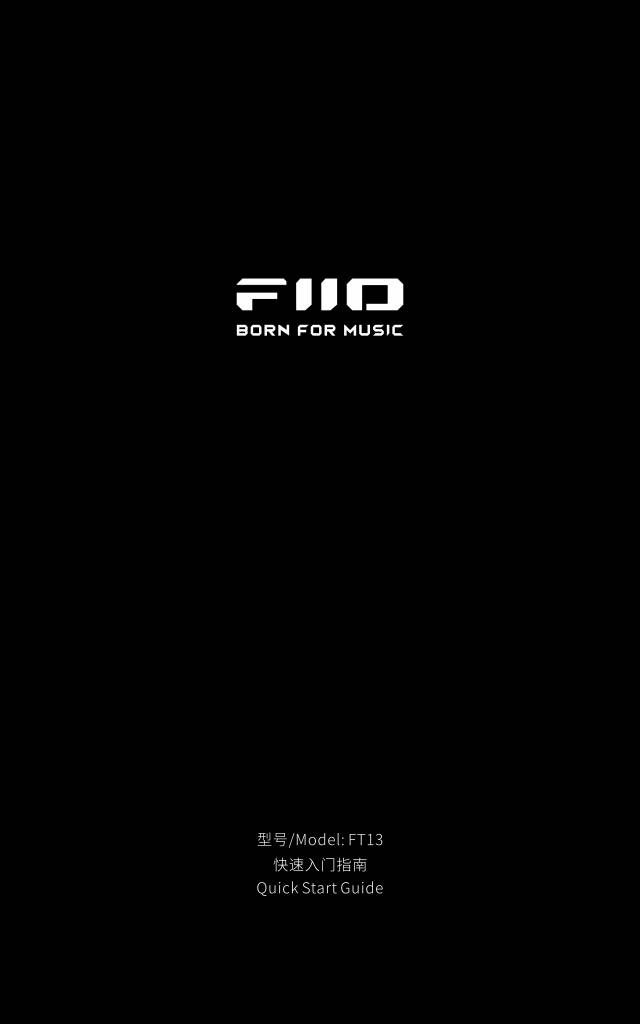 n-20260831104637-ft13-manual.pdf