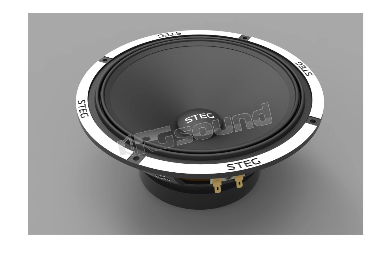 F8 high-efficiency 165mm midrange pair Steg