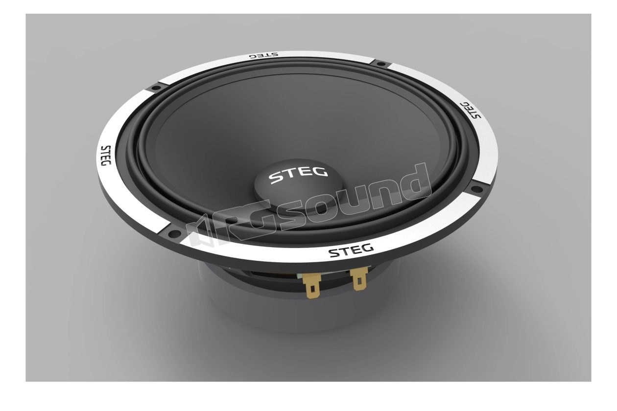 F7 high-efficiency 165mm midrange pair Steg