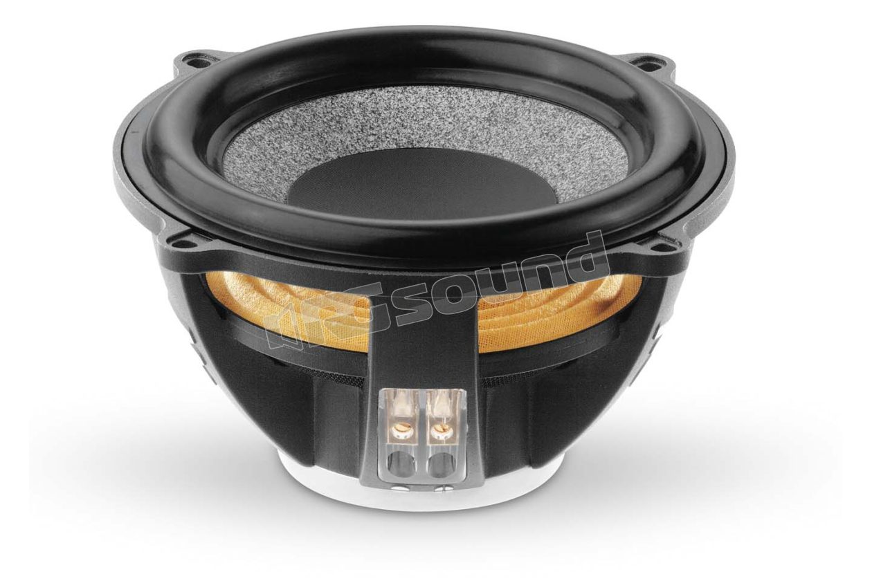 13WS  Focal