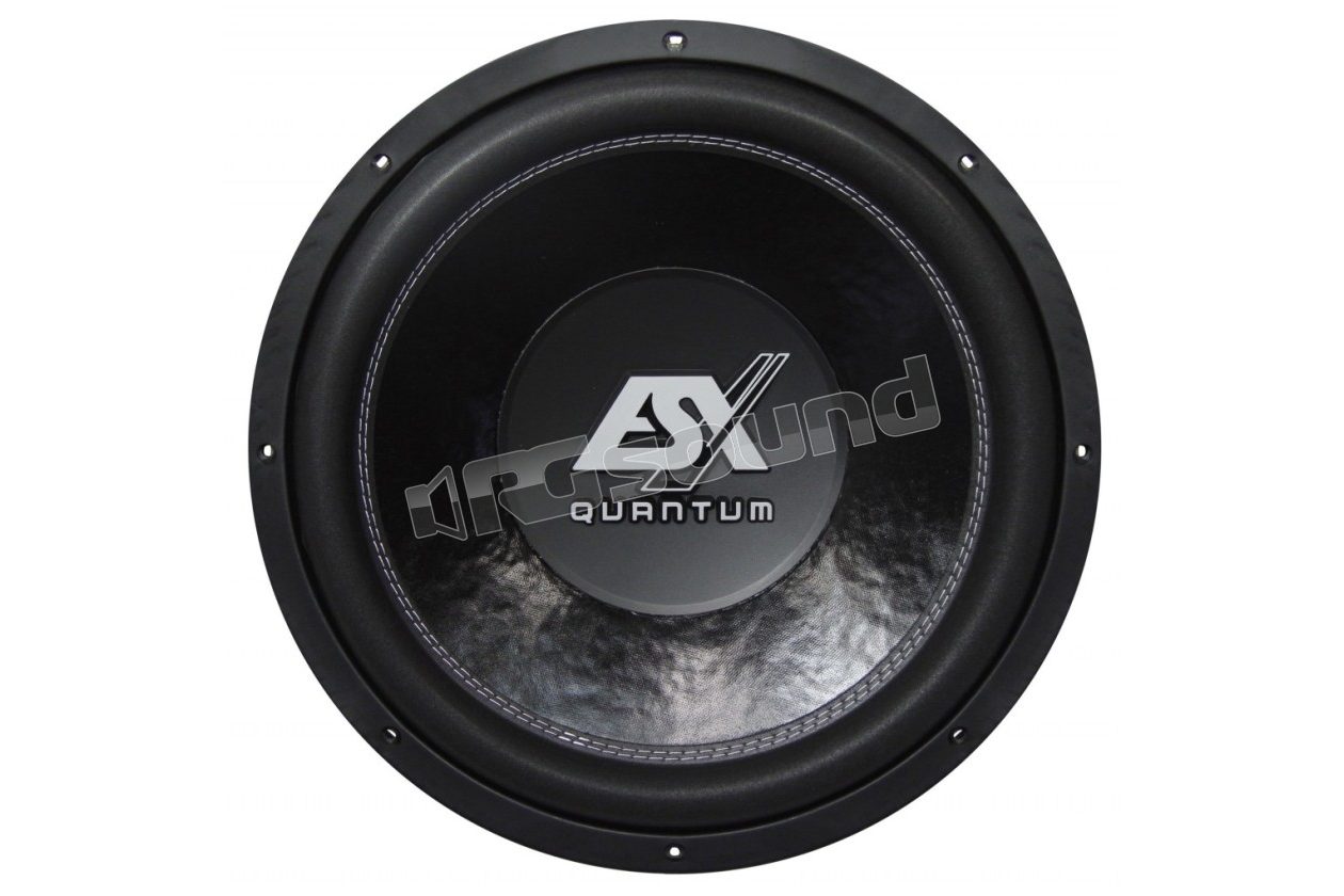 QE1524 Quantum Series dual voice coil ESX