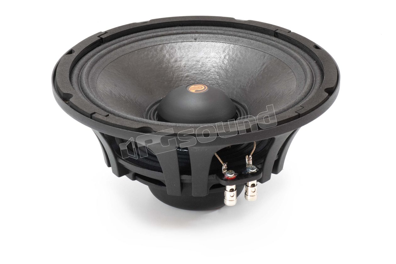C250 high-efficiency 25cm extended range Proaudio