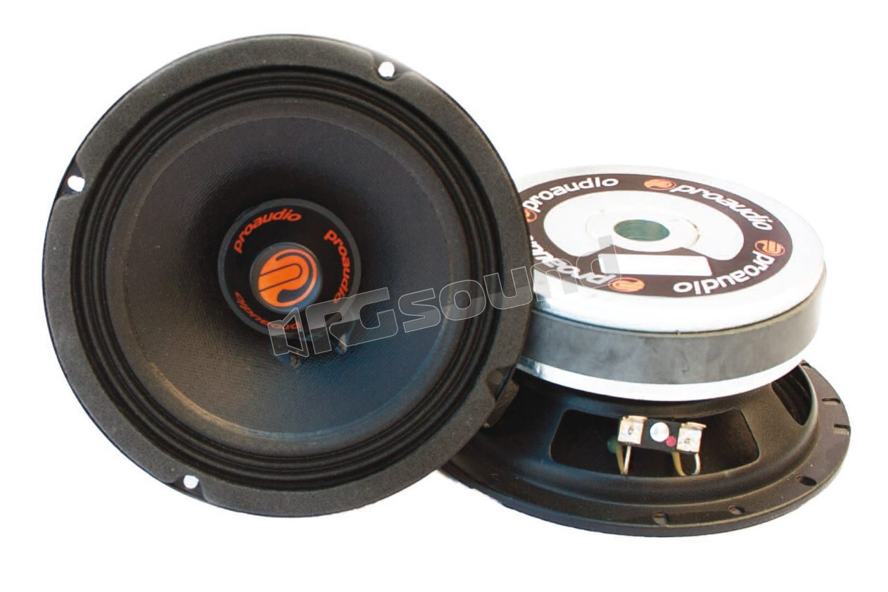 R165 high-efficiency 16.5cm extended range pair Proaudio