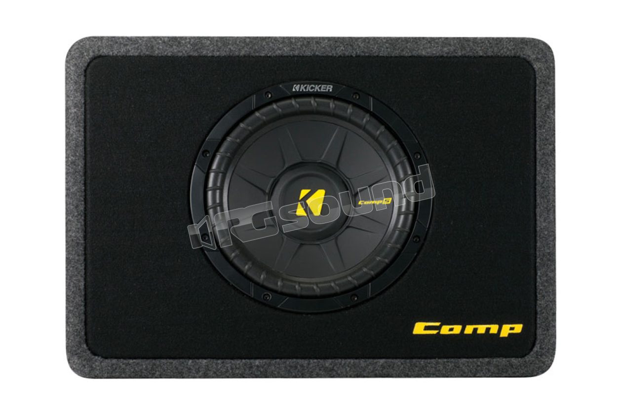 TCWS102 25 cm 2 Ohm sub in ported enclosure Kicker