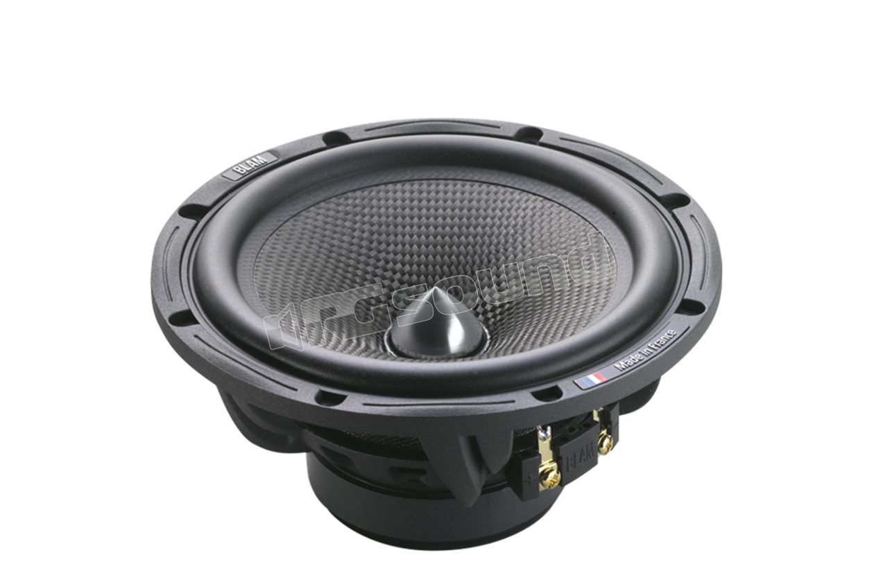WS 6.85 woofer 165 mm BLAM