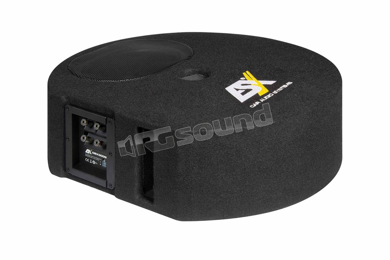 DBX300Q bass reflex system for spare wheel well ESX