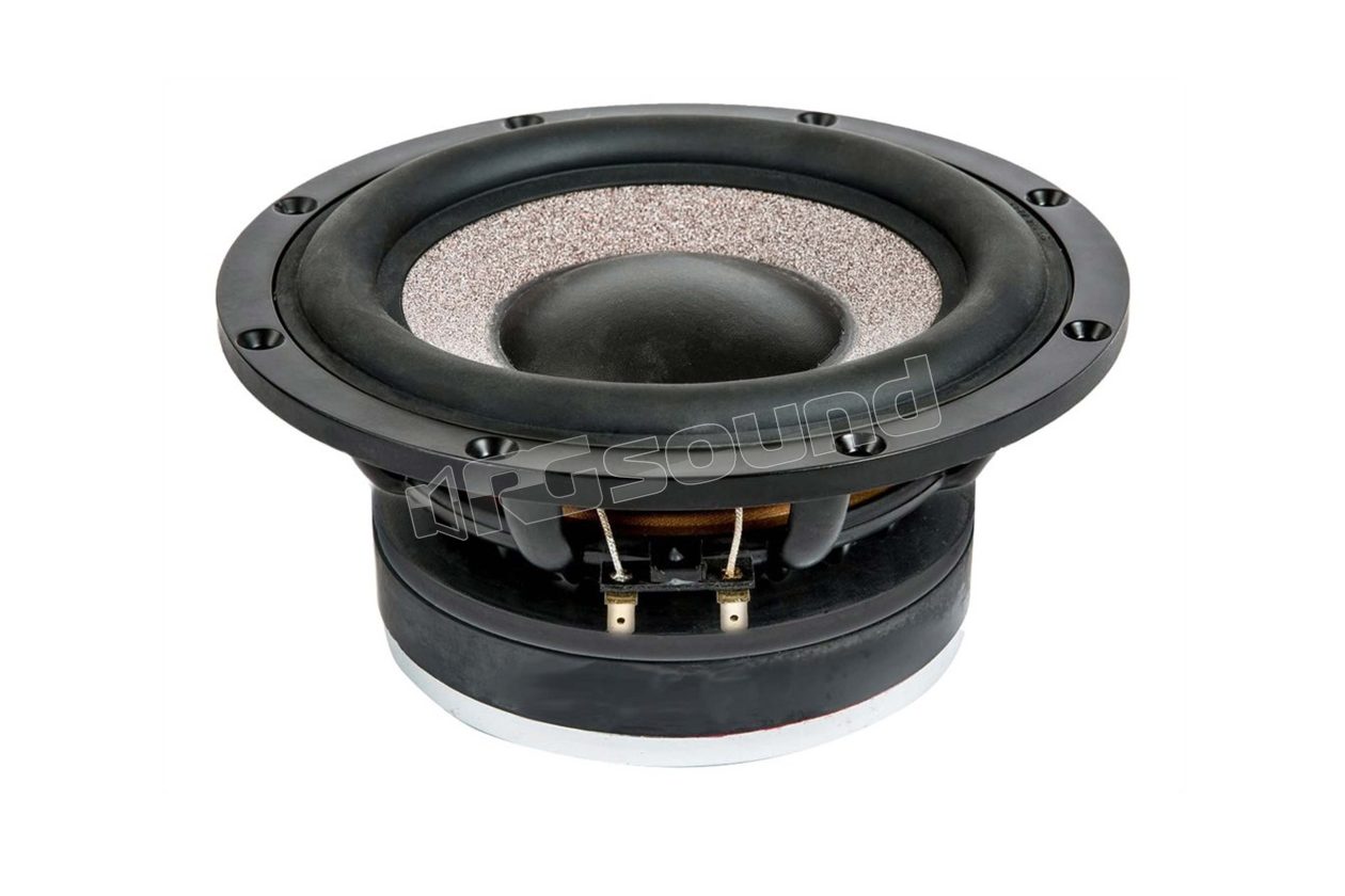 HSG200-22 20cm subwoofer with dual 2 Ohm voice coil Ciare