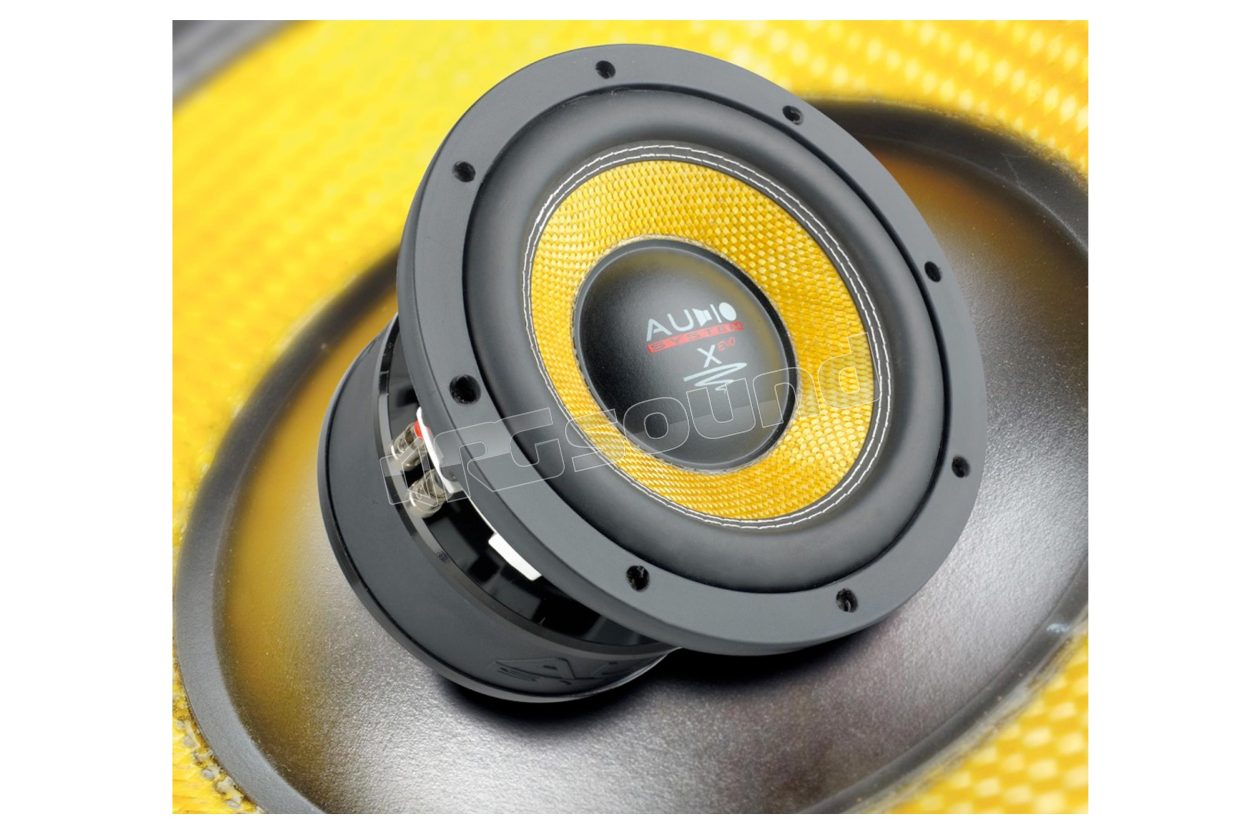 X 08 20cm subwoofer with Kevlar cone Audio System