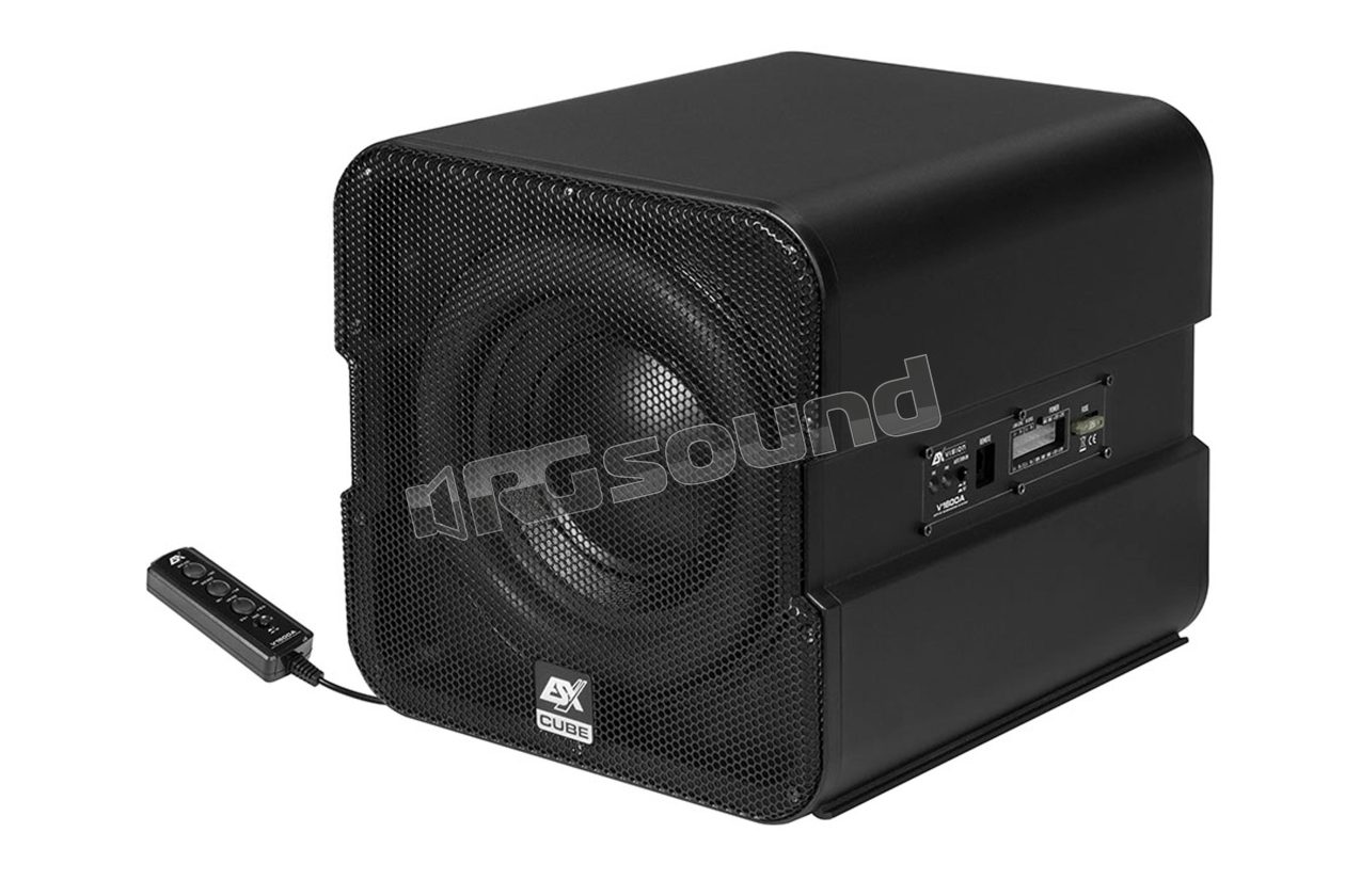 V1600A 20cm active subwoofer with class AB amplifier ESX