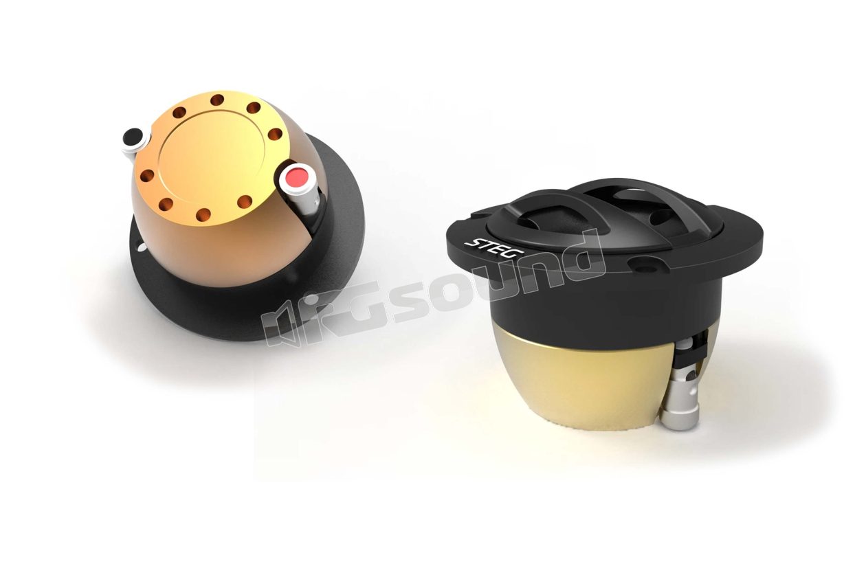 NT-25 pair of neodymium tweeters Steg