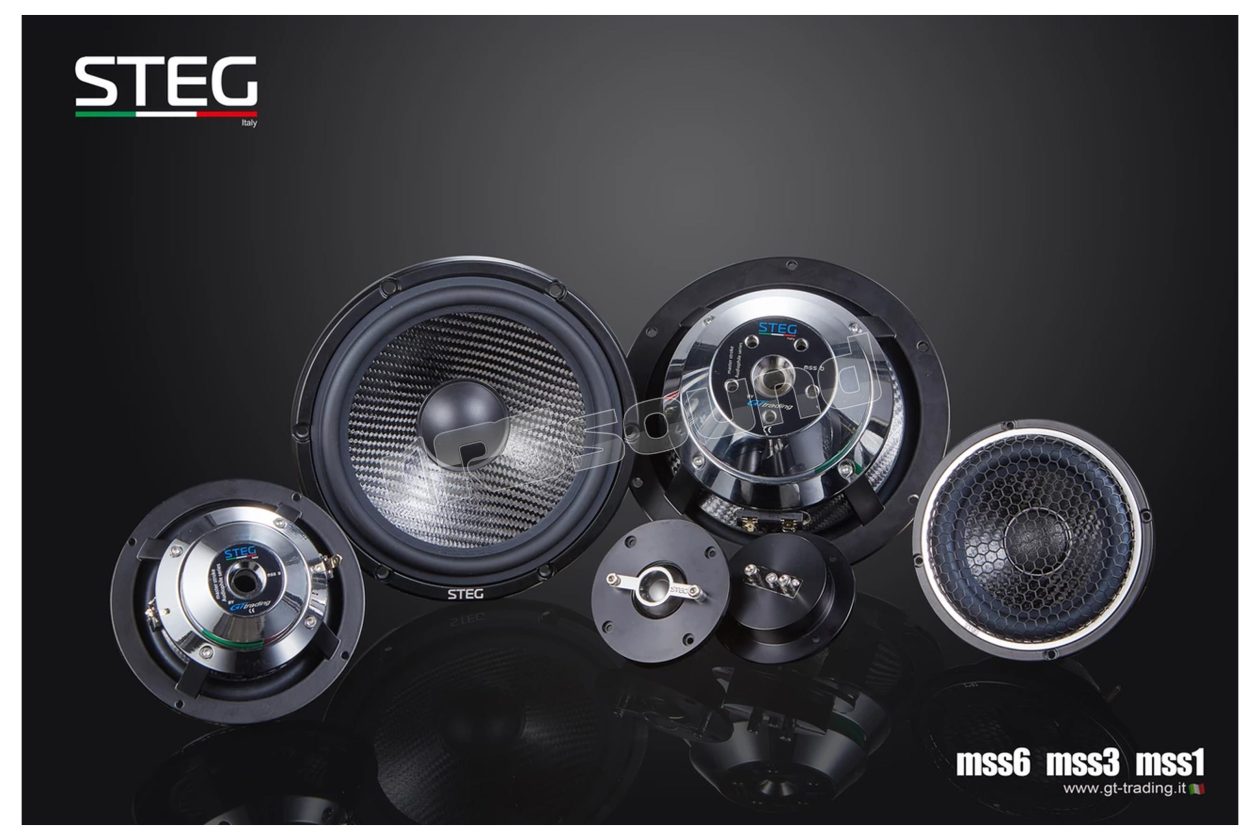 MSS1 MSS3 MSS6 3-way kit with 165mm woofer, 110mm midrange, 69-56mm tweeter Steg