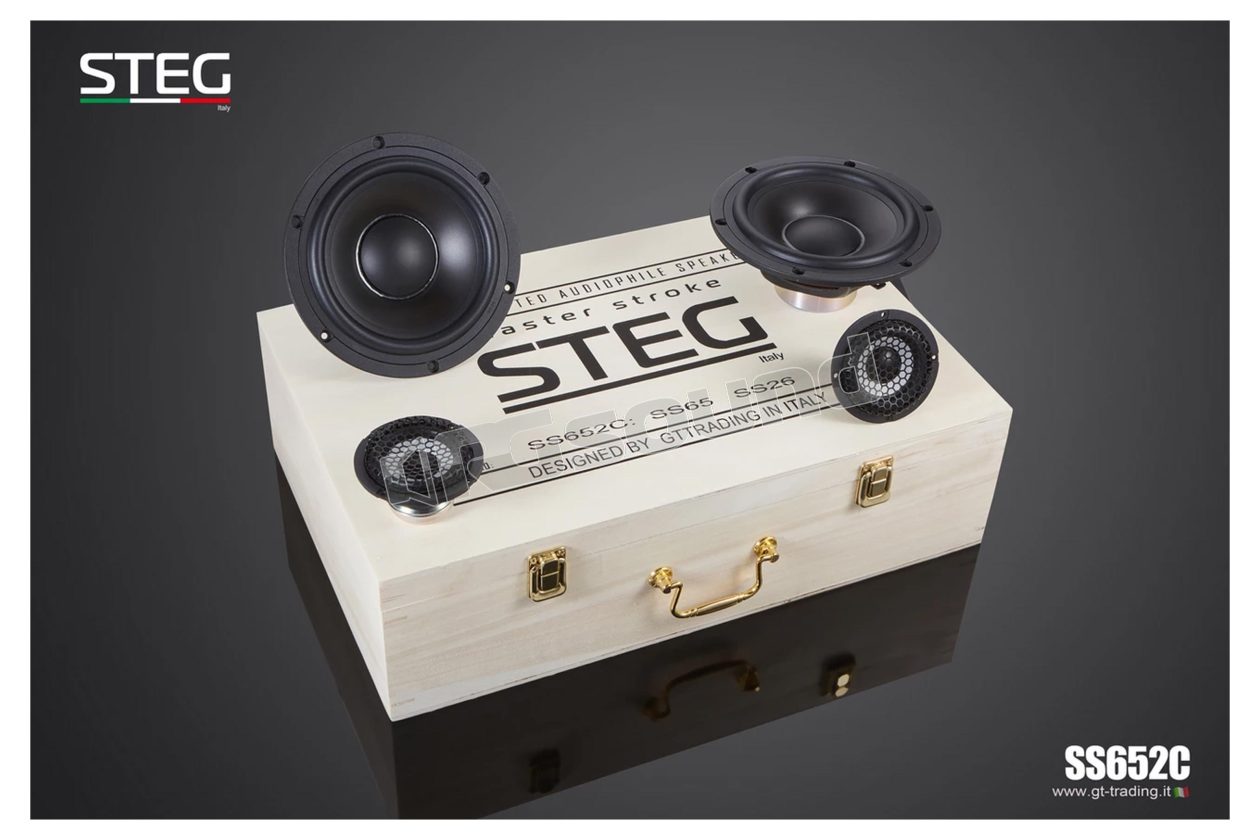 SS-652C 2-way kit with 165mm woofer and 66mm full-range midrange Steg