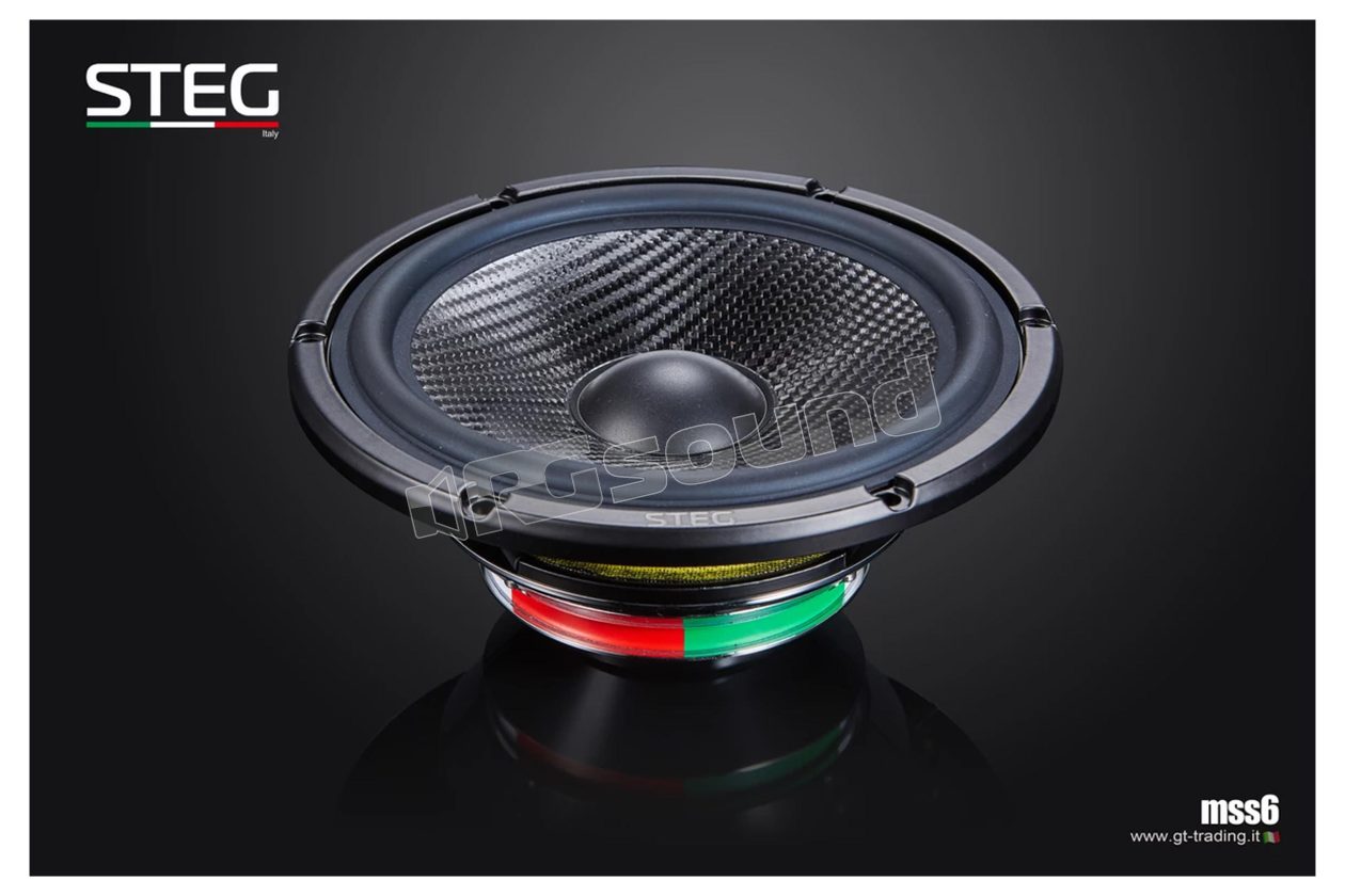 MSS6 high-end 165mm woofer Steg