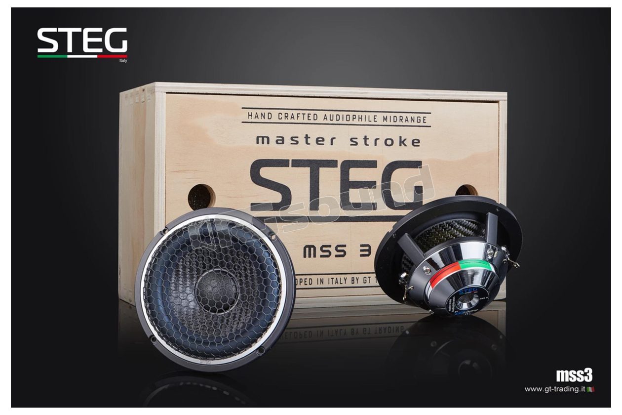 MSS3 pair of high-end 110mm midranges Steg