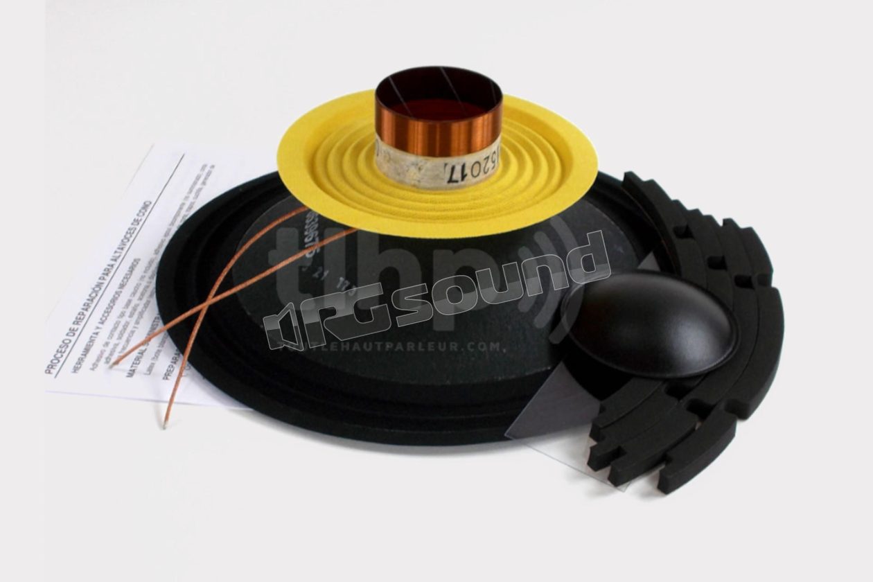 5M10WR308 riconatura altoparlante 10WR300 Beyma