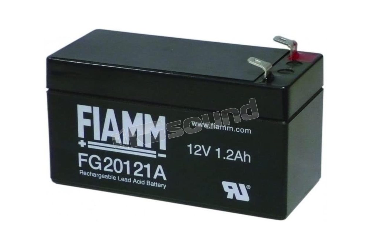 FG20121A confezione con 20 batterie Fiamm