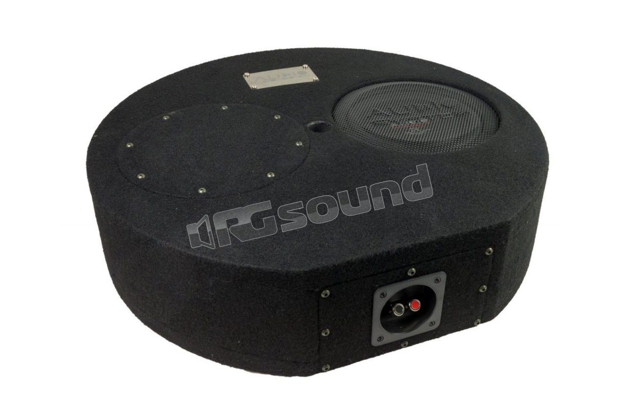 SUBFRAME R10 FLAT ACTIVE EVO2 25cm powered R series subwoofer Audio System