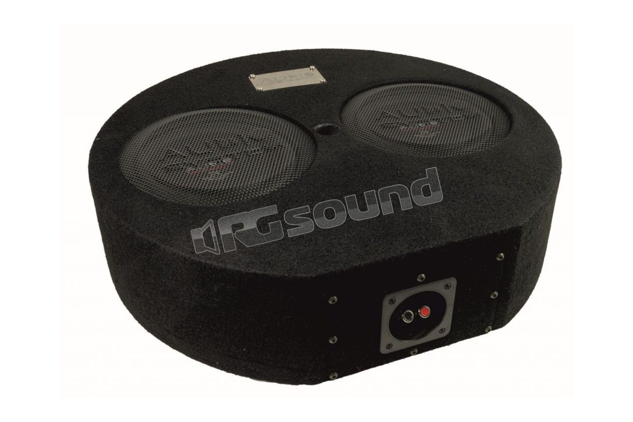 SUBFRAME R10 FLAT ACTIVE-2 EVO Doppio Sub 25cm amplificato Audio System
