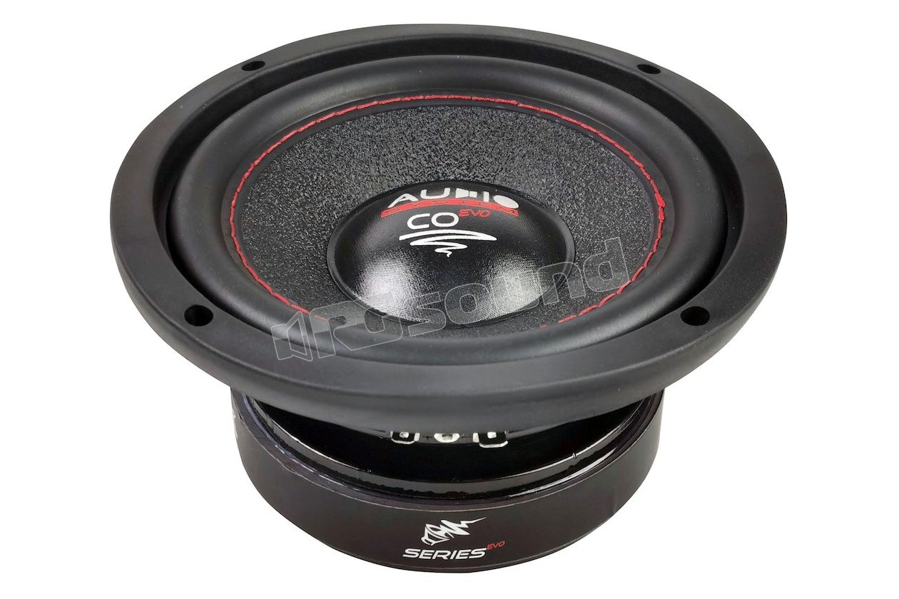 CO 06 DC EVO 165mm dual voice coil subwoofer Audio System