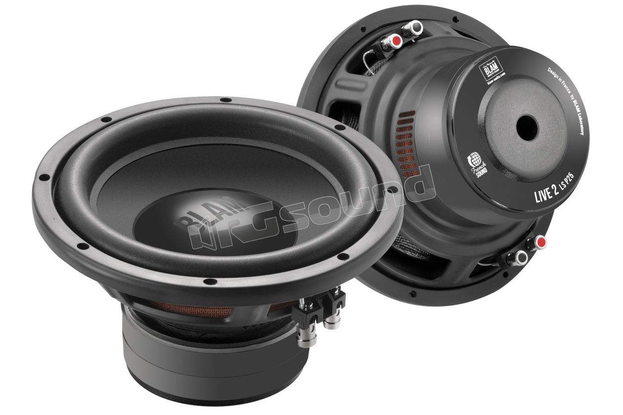 LS P25 25cm Subwoofer - Dual 2 Ohm Voice Coil BLAM