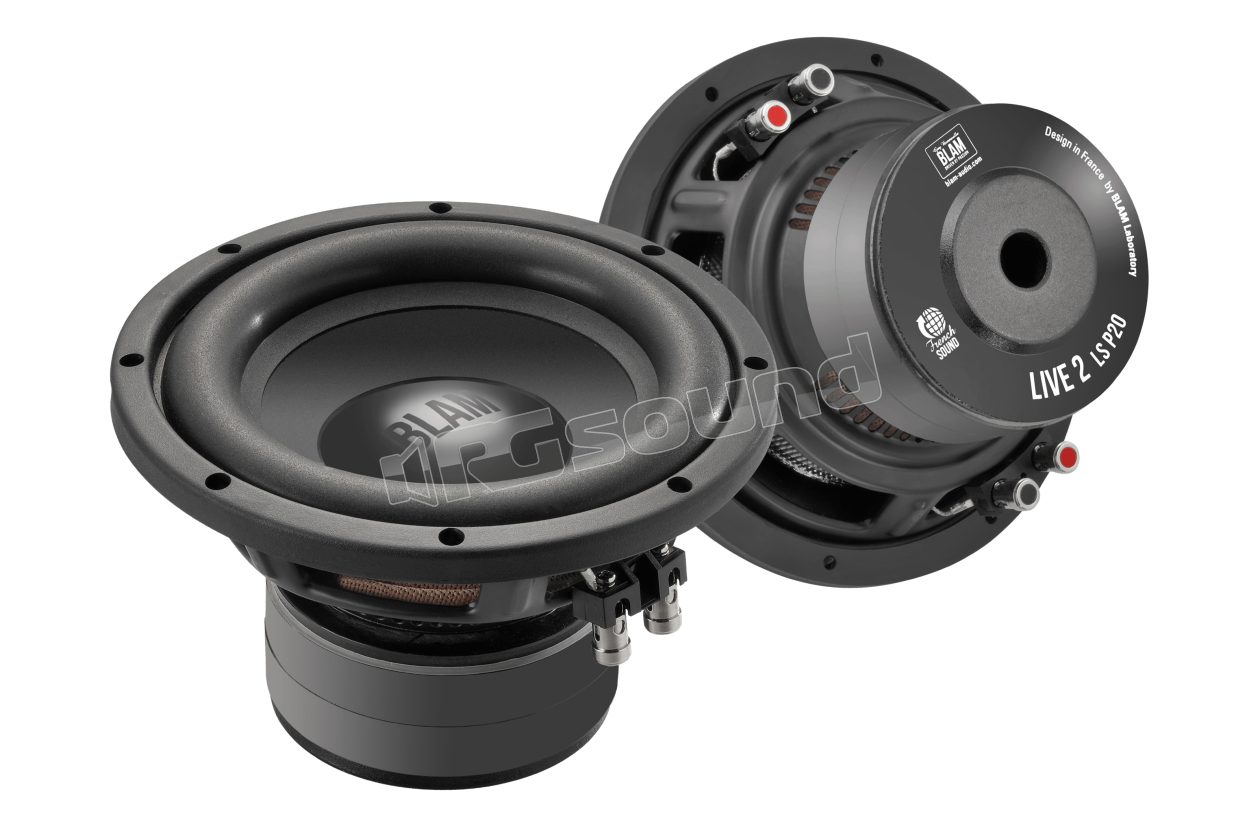 LS P20 20cm subwoofer, dual 2 Ohm voice coil, 250 Watt RMS BLAM