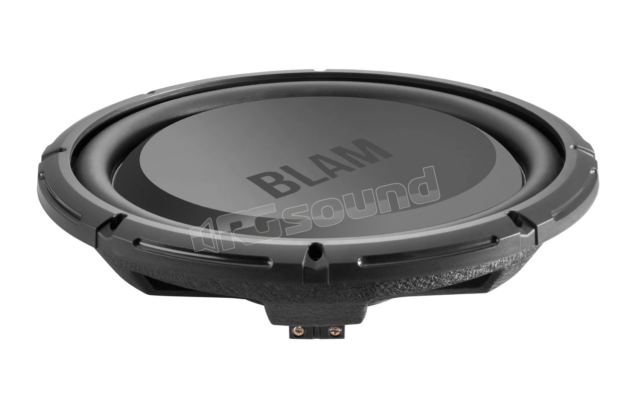RS 12.4 30cm ultra slim subwoofer BLAM