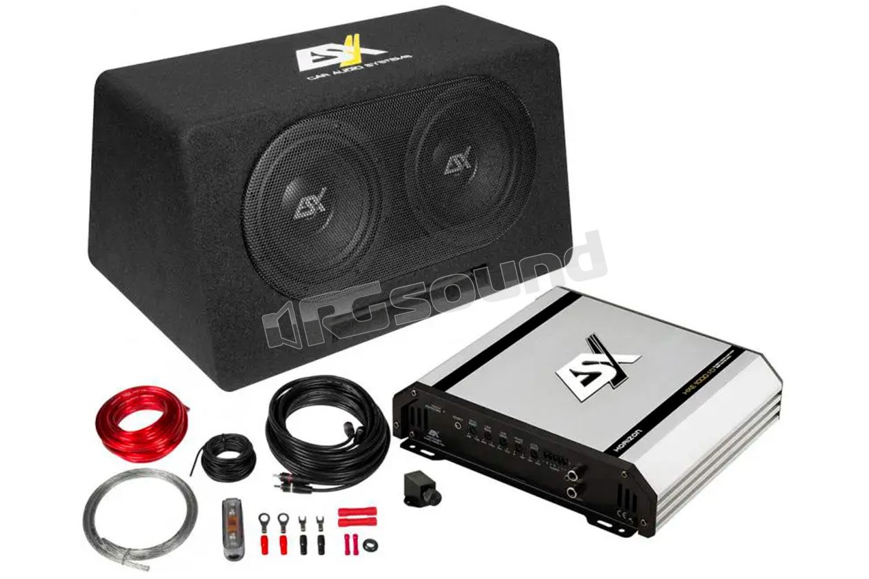 DBP208Q bass reflex system with dual 20cm subwoofer and ESX HXE1000.1D amplifier ESX