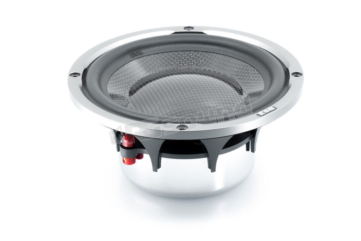 9.6W High-end 165 mm Mid-Woofer, 9000 Series ESB car audio