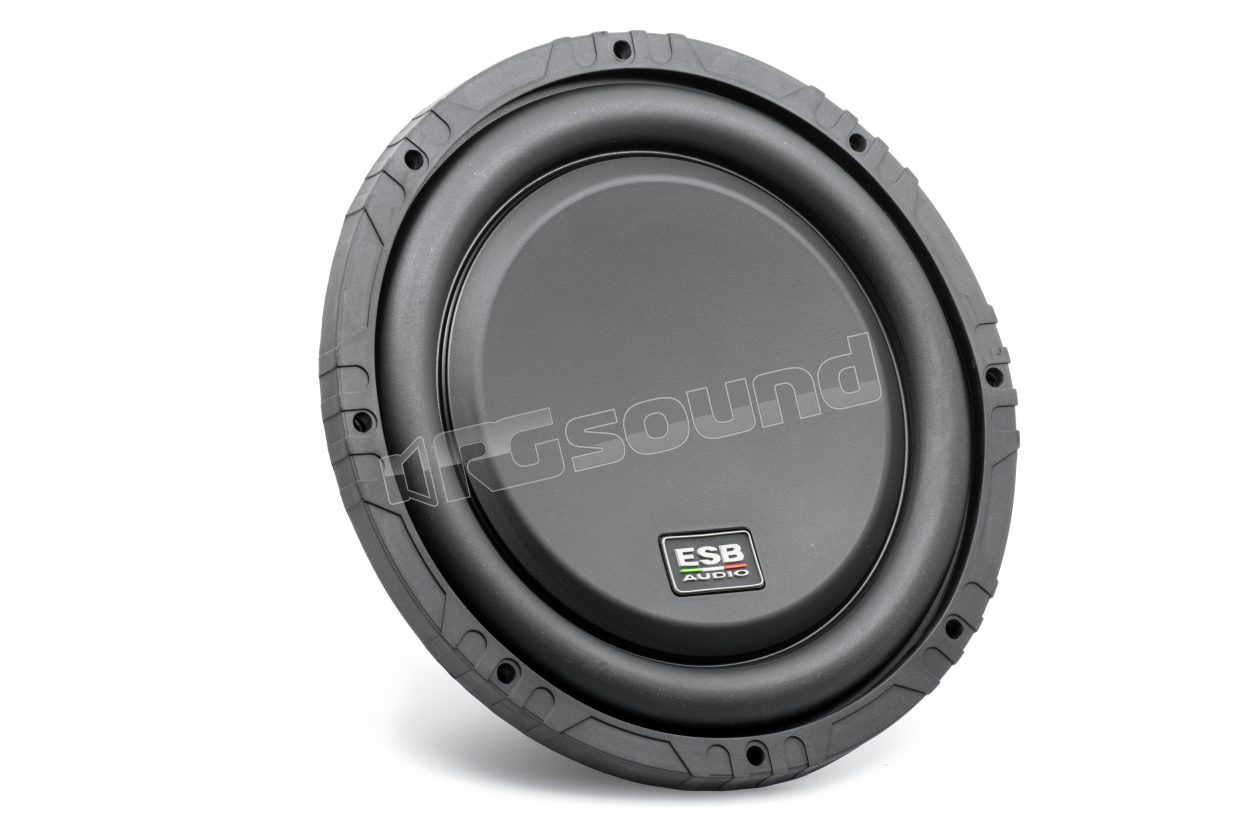 1.10SD2 10'' slim subwoofer with dual 2 Ohm voice coils ESB car audio