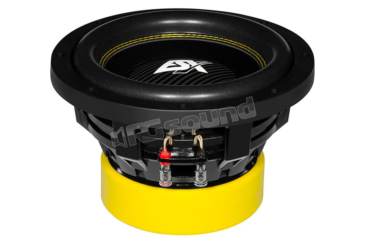 QXE10D2 Compact 250mm dual voice coil 2 Ohm subwoofer ESX