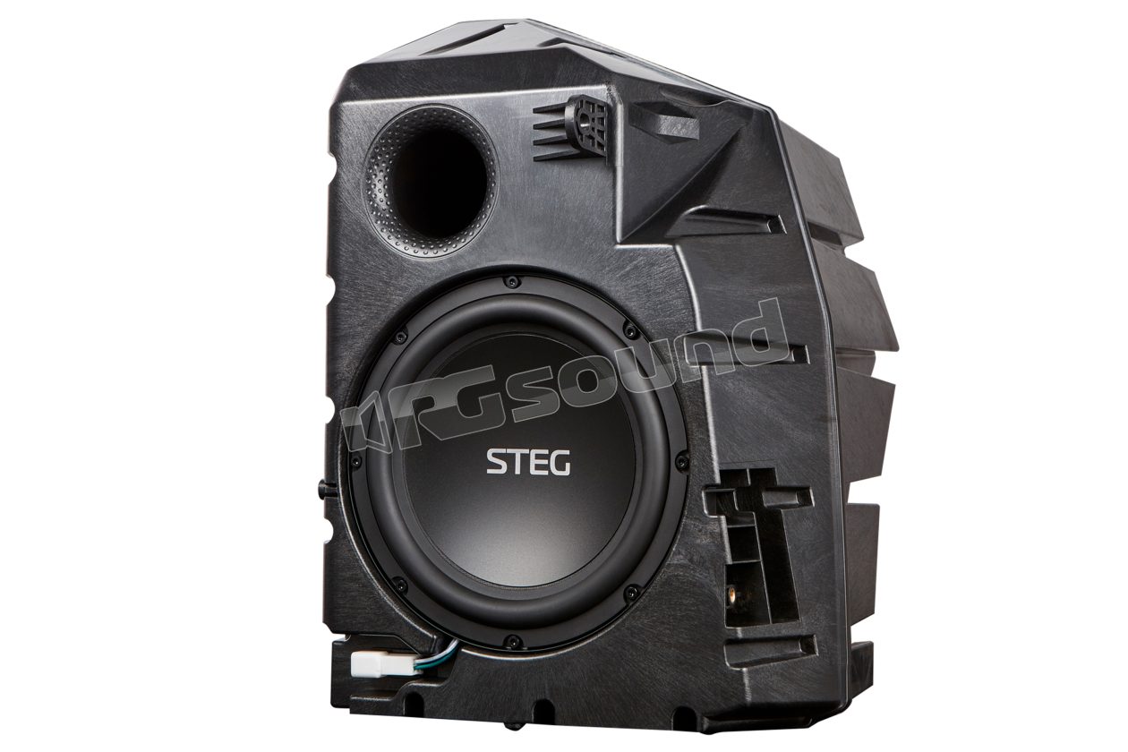 MT9 20cm subwoofer in box for TESLA Steg