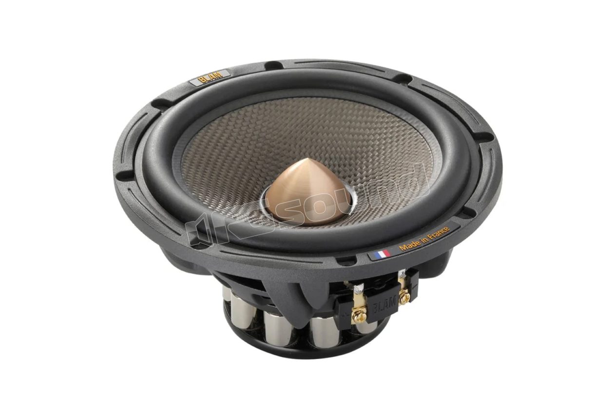 WS6 Multix 165 mm high-efficiency woofer BLAM