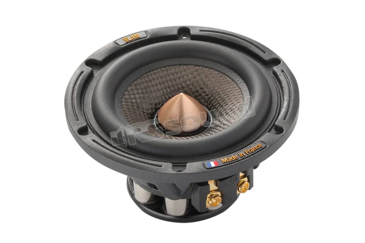 MS3 Multix 3" midrange speaker BLAM
