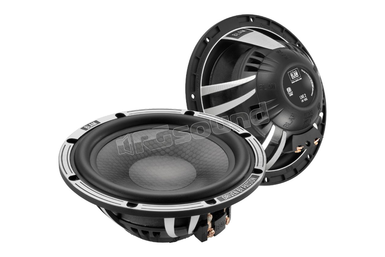 LW 165S pair of 165 mm flat woofers BLAM