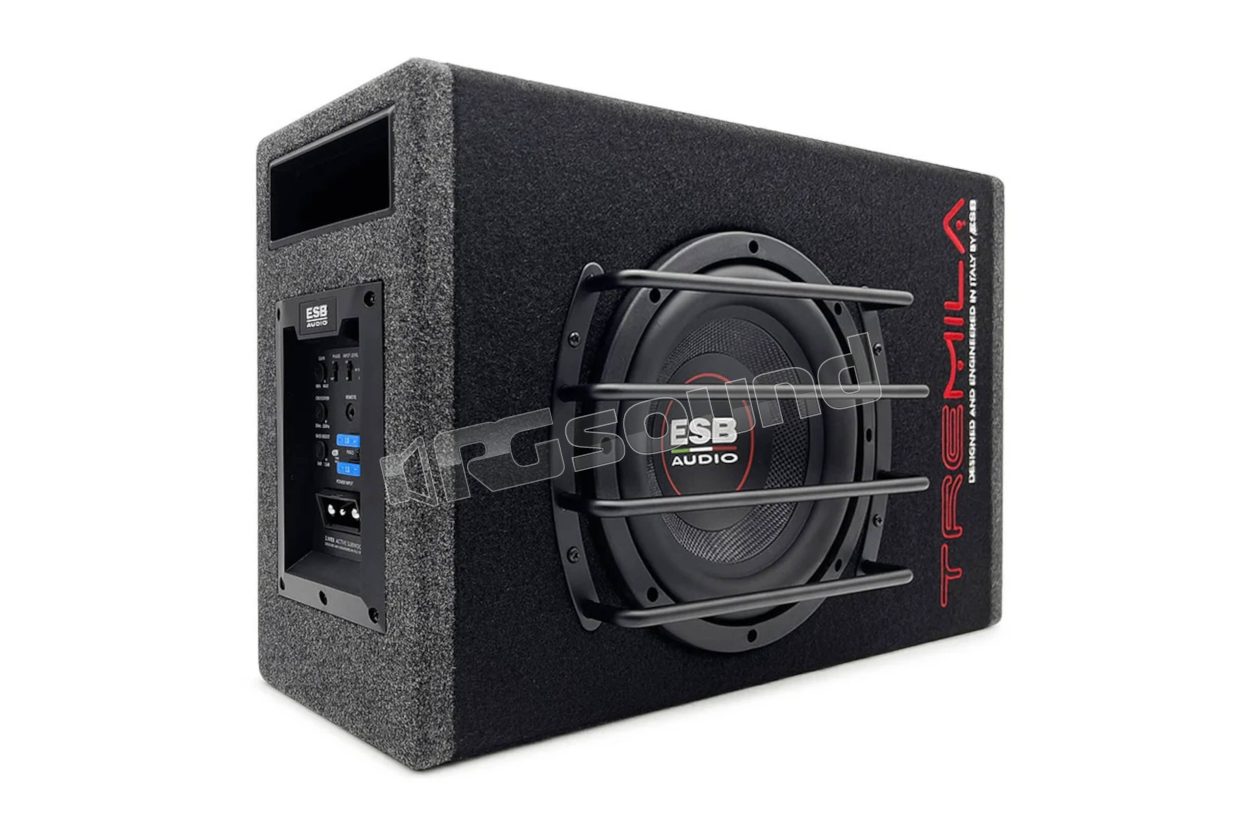 3.WB8 B 8" active subwoofer in a slim enclosure ESB car audio