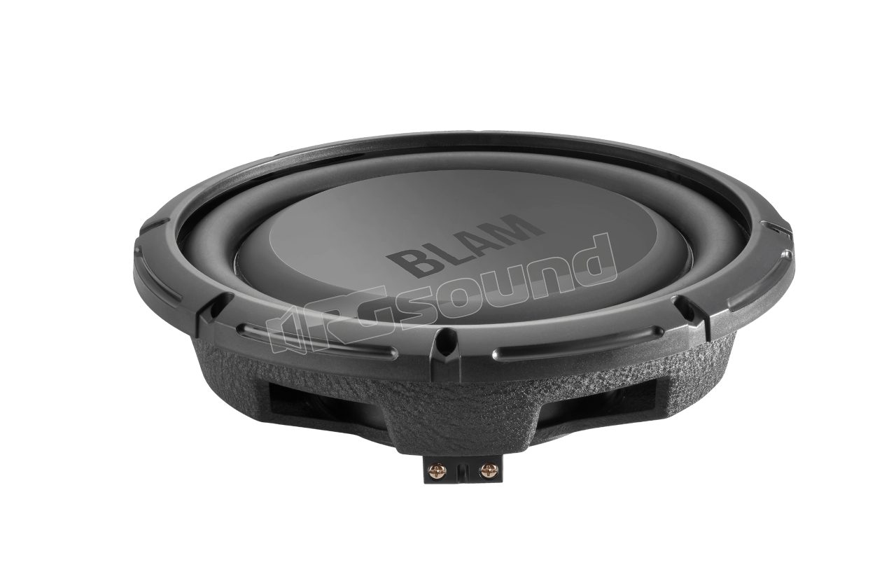 RS 10.2 25cm ultra slim subwoofer BLAM