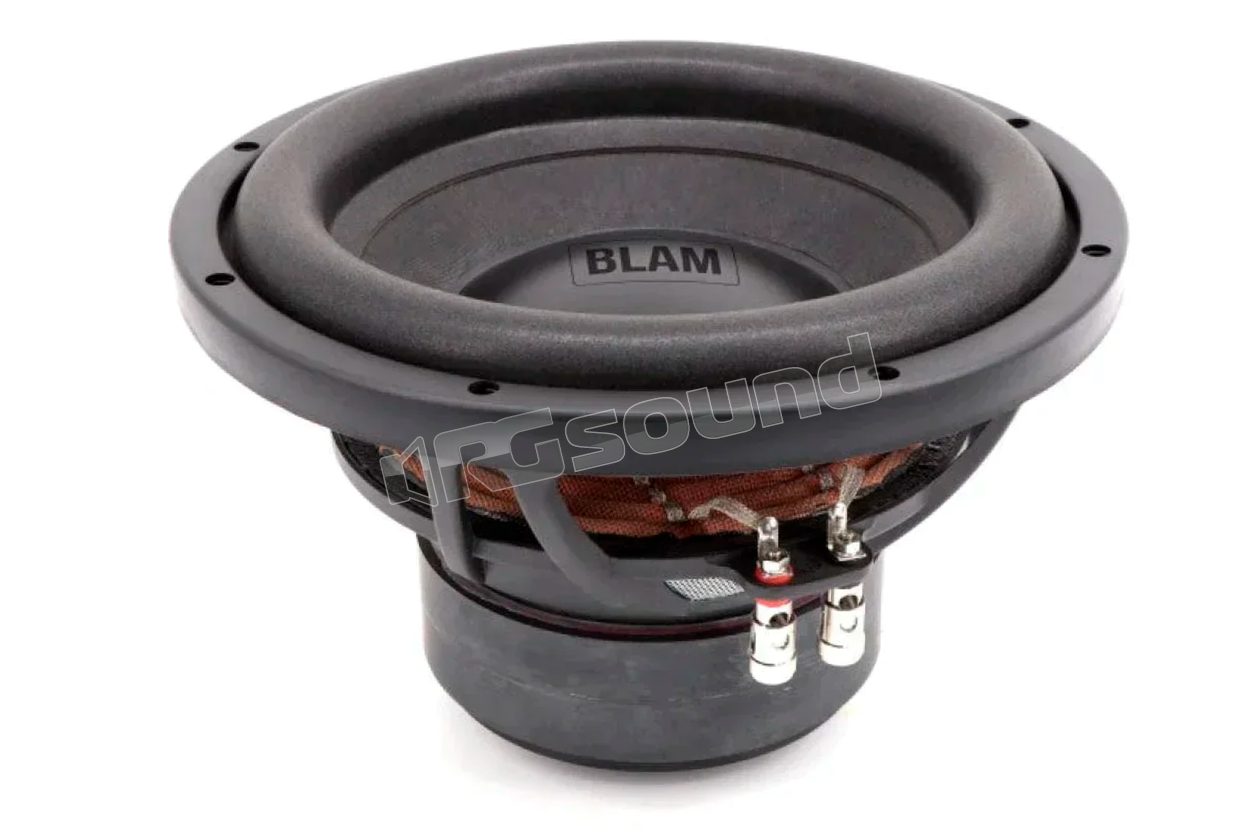 L 25DB 250 mm (10") dual voice coil subwoofer BLAM