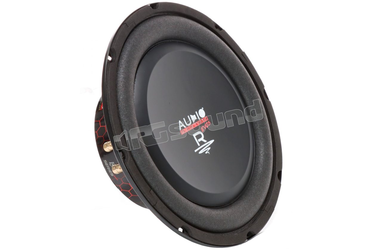 R10 FLAT EVO 3  Audio System