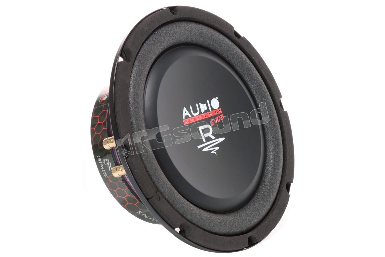 R08 FLAT EVO 3  Audio System