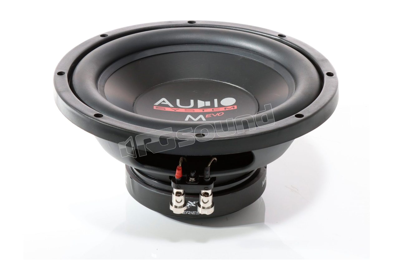 M10 EVO 2 25cm subwoofer with dual 2 Ohm voice coil Audio System