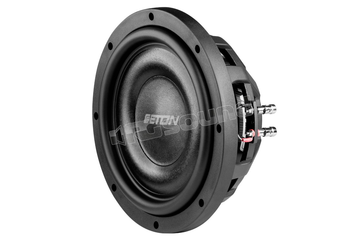 MW 10 FLAT 25 cm flat subwoofer ETON