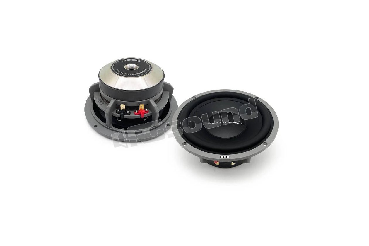 4.165 Pair of high-end 165 mm midwoofers ESB car audio