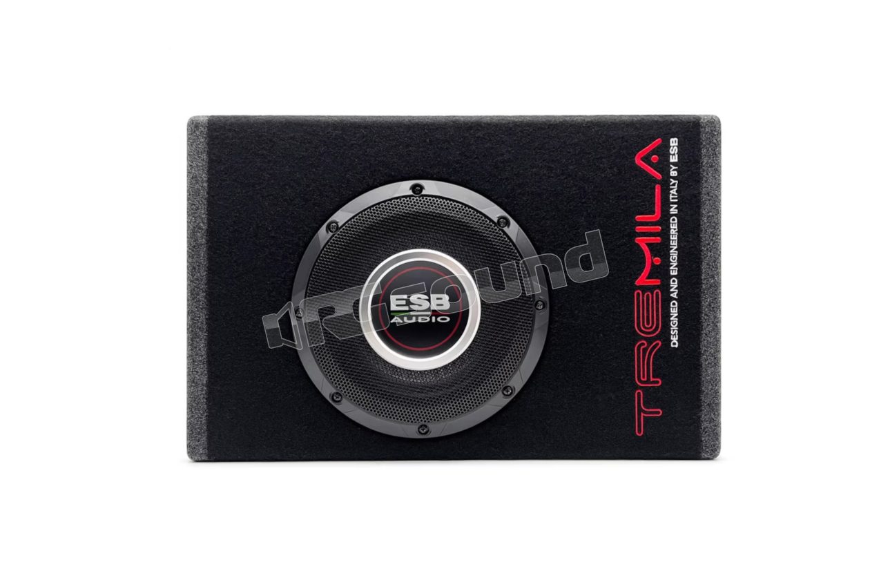3.WB8 8"/200 mm ported active subwoofer ESB car audio