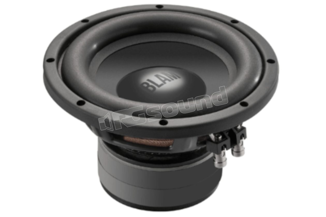 L SP20 250 mm subwoofer, 50mm voice coil, 89 dB BLAM