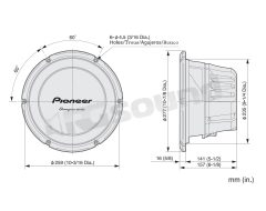 TS-W260S4  Pioneer