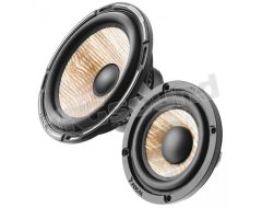 PS165F3  Focal