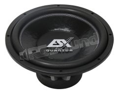 QE1524 Quantum Series dual voice coil ESX