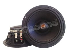 C166 High-efficiency 16.5 cm extended range pair Proaudio