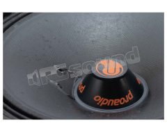 R200 high-efficiency 20cm extended range Proaudio